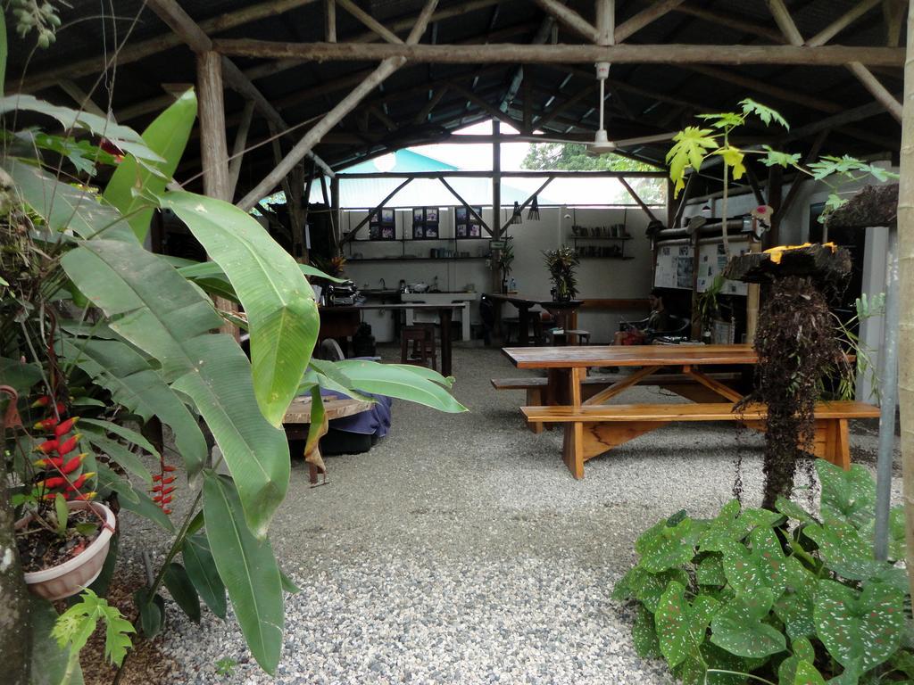 Cabinas Tropicales Puerto Jiménez エクステリア 写真