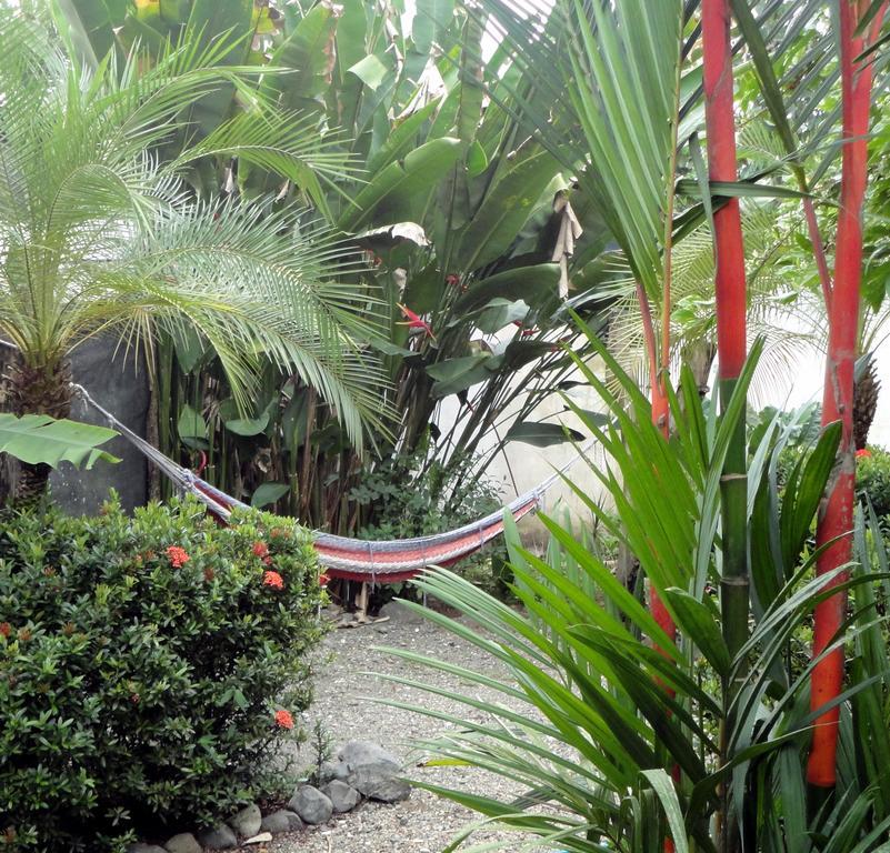 Cabinas Tropicales Puerto Jiménez エクステリア 写真