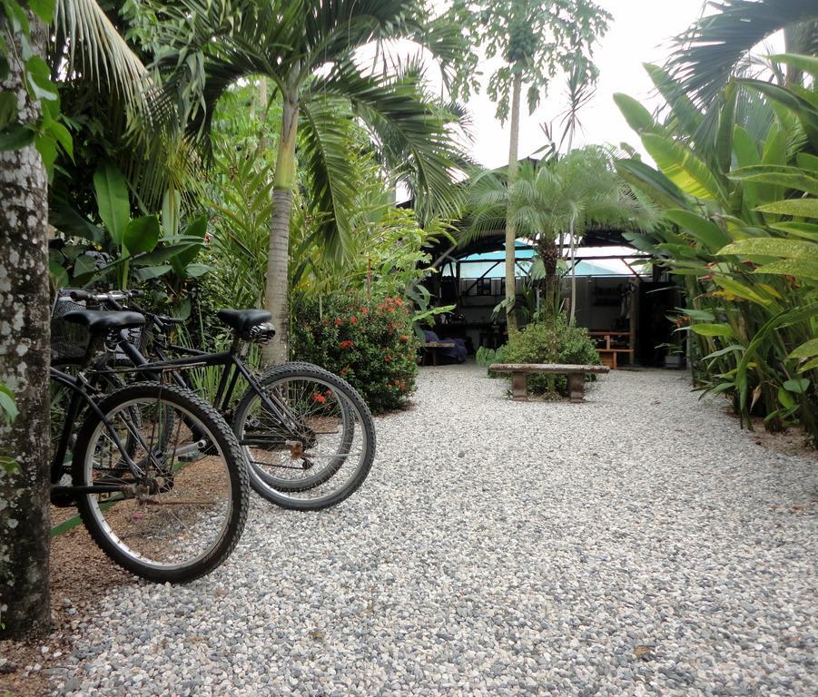 Cabinas Tropicales Puerto Jiménez エクステリア 写真