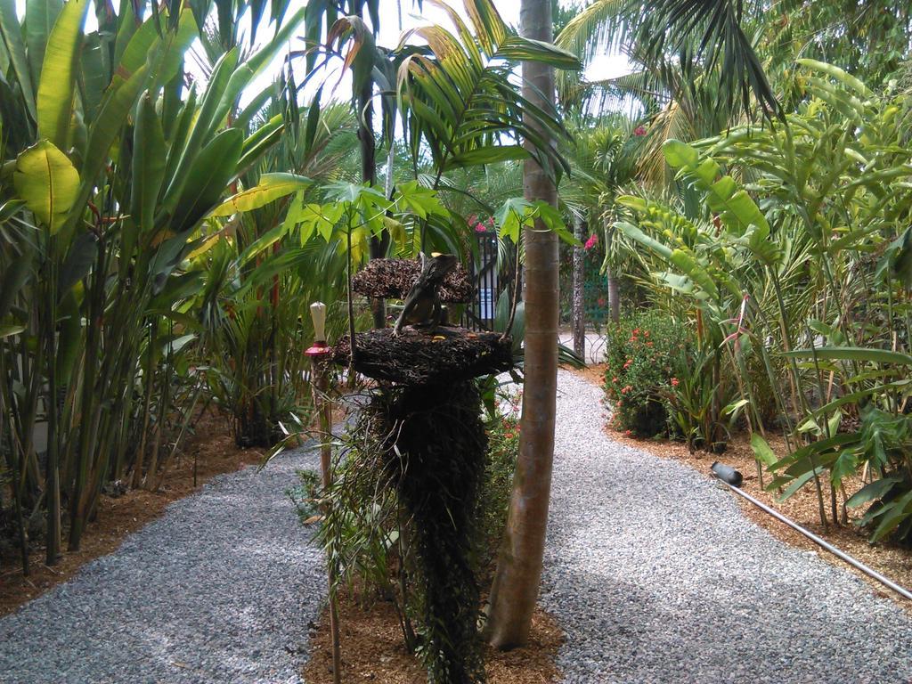 Cabinas Tropicales Puerto Jiménez 部屋 写真