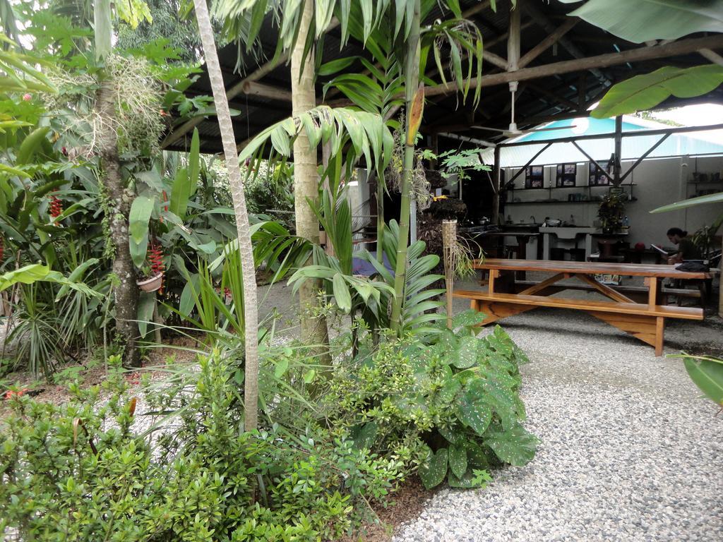 Cabinas Tropicales Puerto Jiménez 部屋 写真