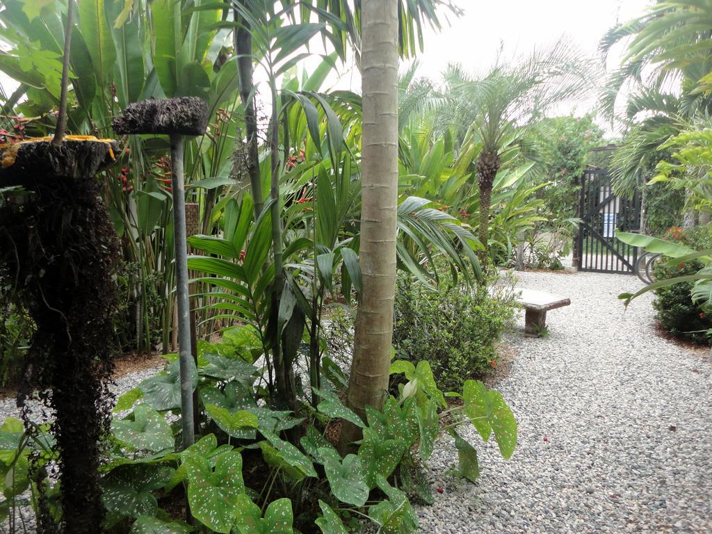 Cabinas Tropicales Puerto Jiménez エクステリア 写真