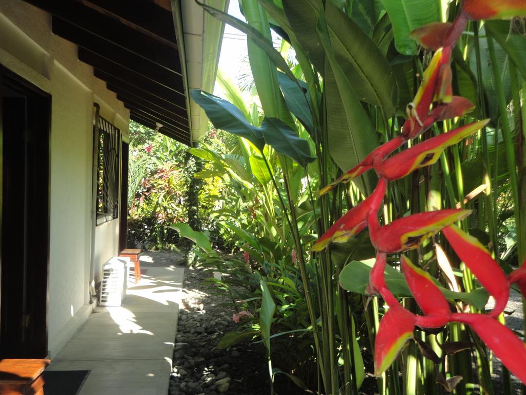 Cabinas Tropicales Puerto Jiménez 部屋 写真