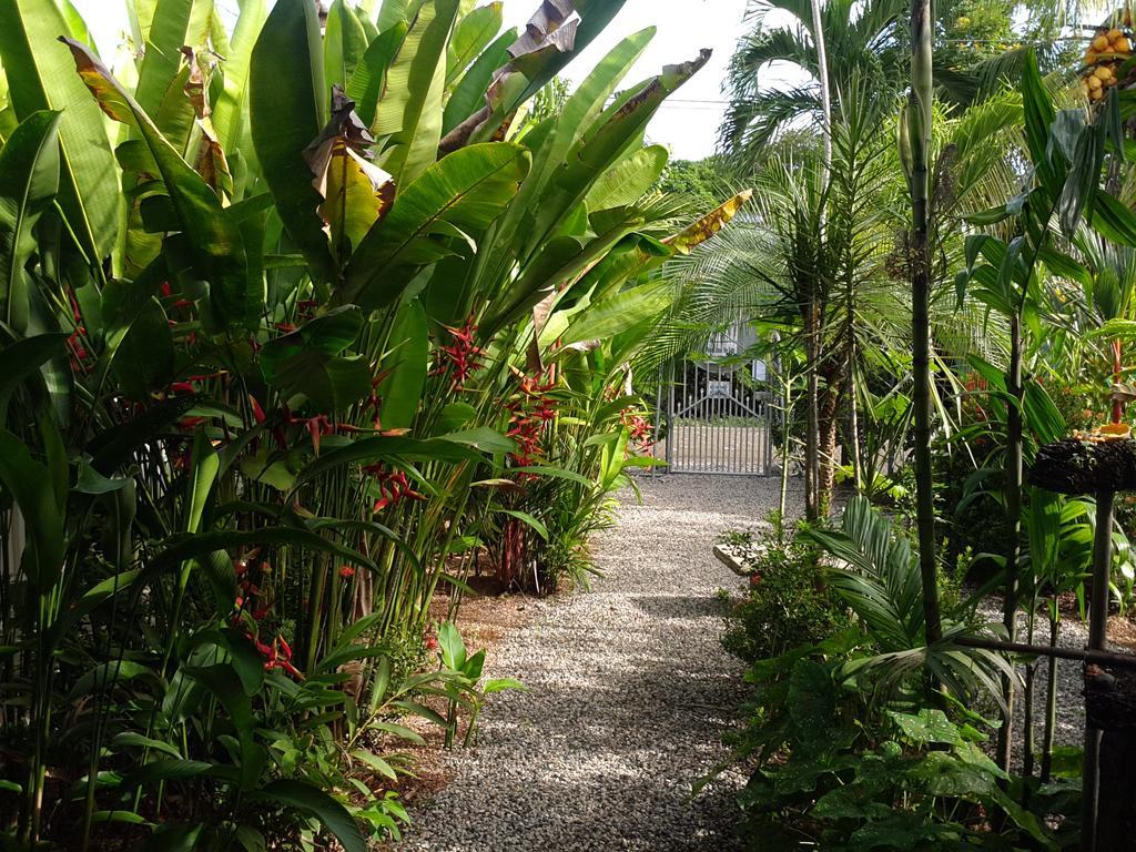 Cabinas Tropicales Puerto Jiménez エクステリア 写真