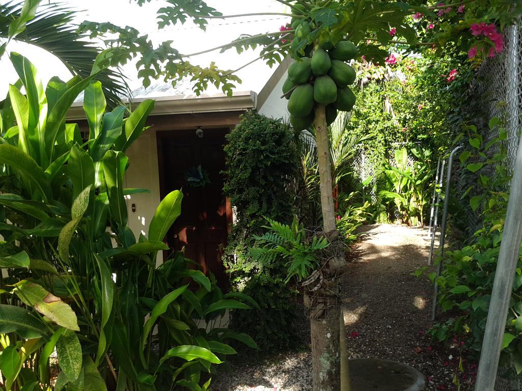 Cabinas Tropicales Puerto Jiménez エクステリア 写真