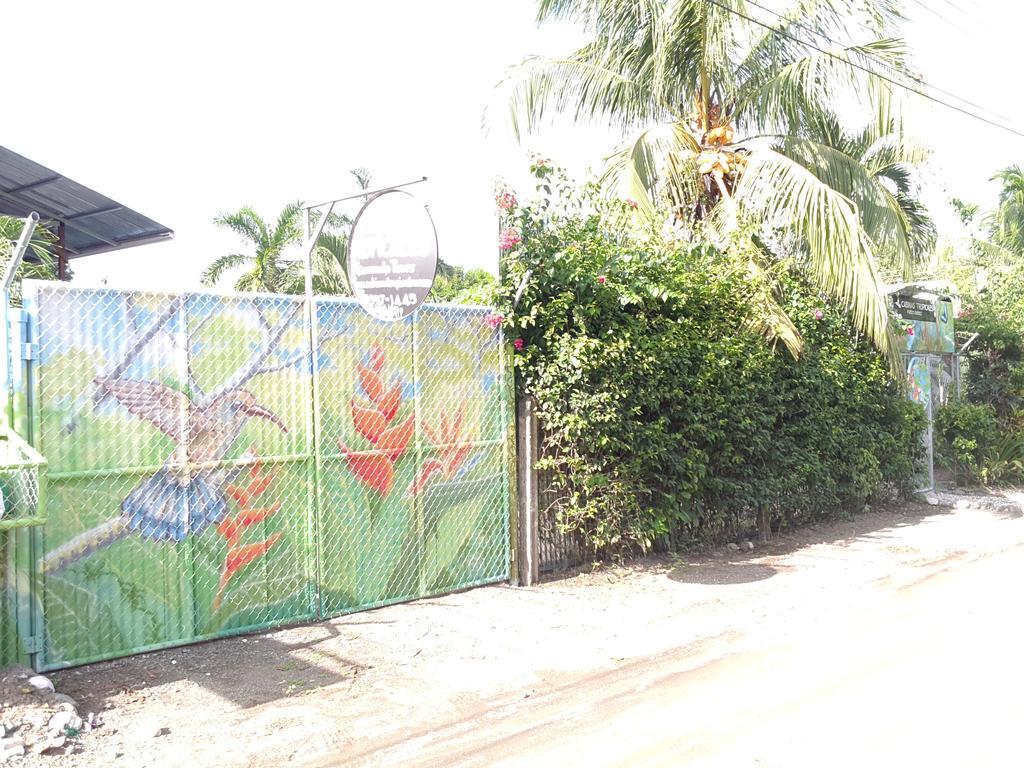 Cabinas Tropicales Puerto Jiménez エクステリア 写真
