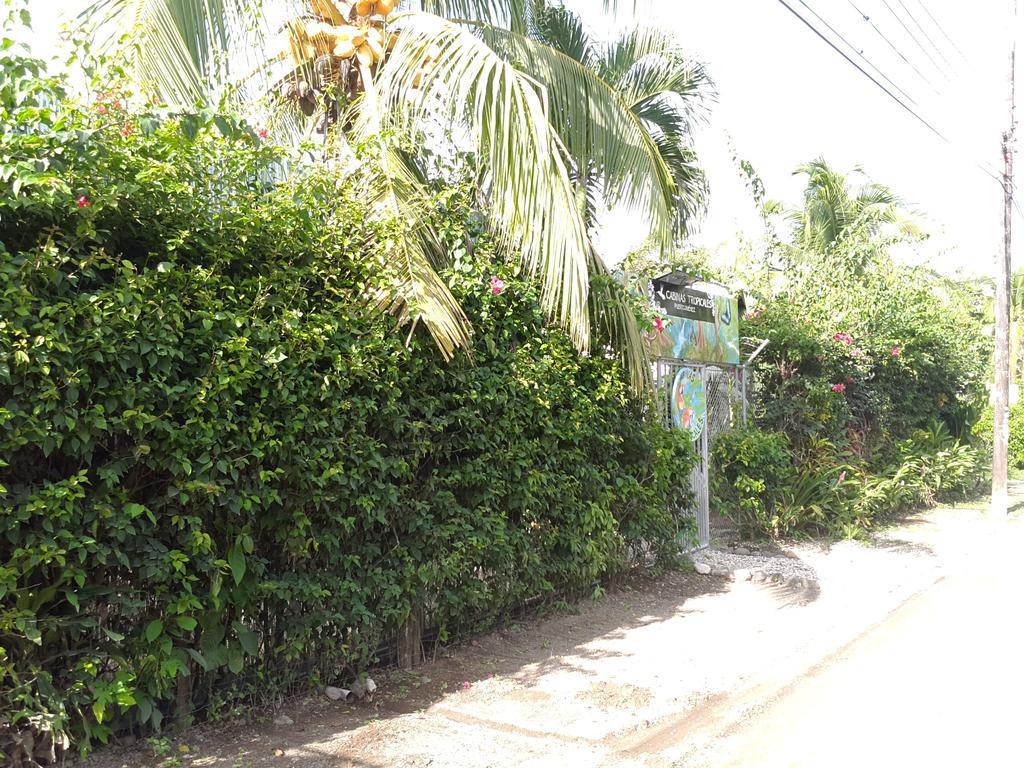 Cabinas Tropicales Puerto Jiménez エクステリア 写真