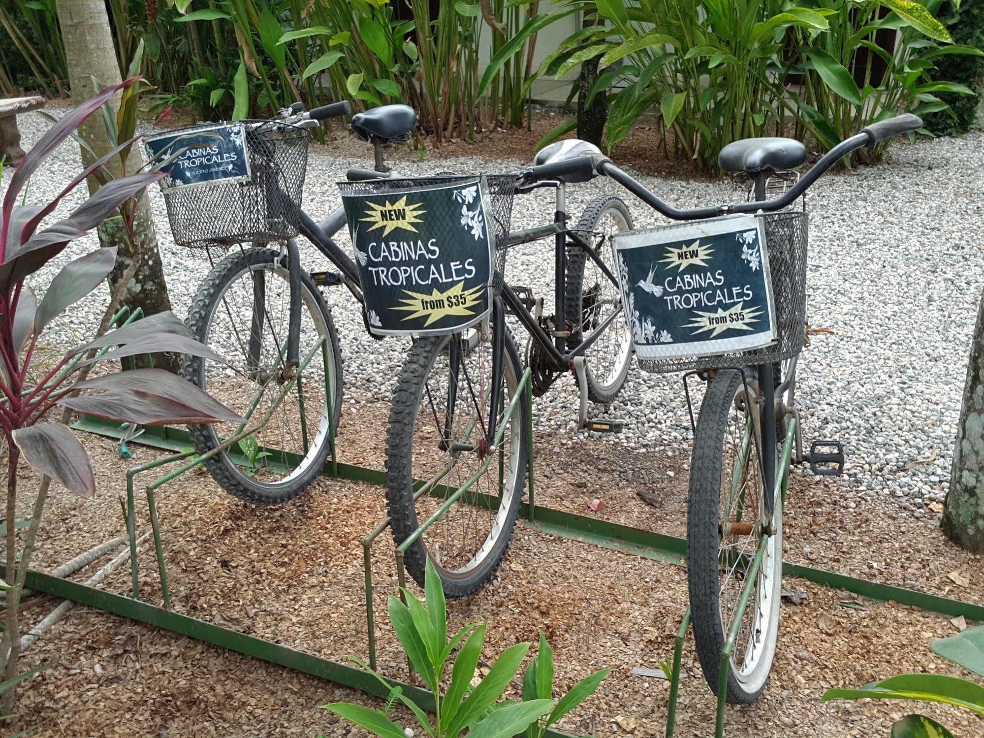 Cabinas Tropicales Puerto Jiménez エクステリア 写真